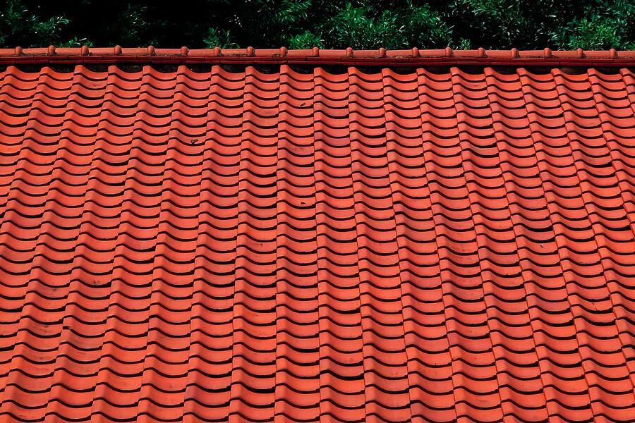 A field of red barrel roof tiles seen close up