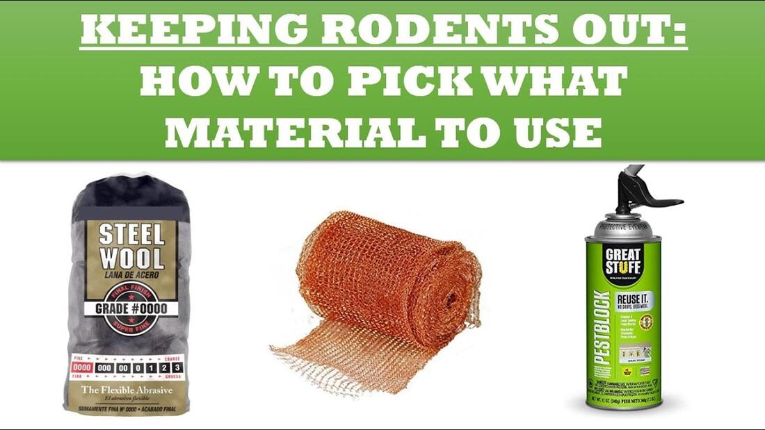 Video preview: Steel wool vs copper mesh vs green mesh