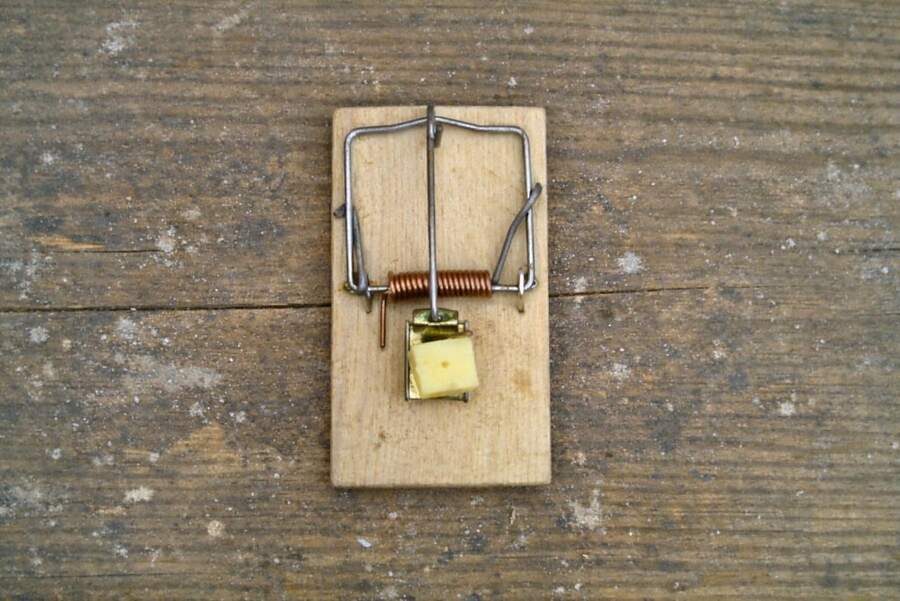 A baited wooden snap trap on a wooden surface